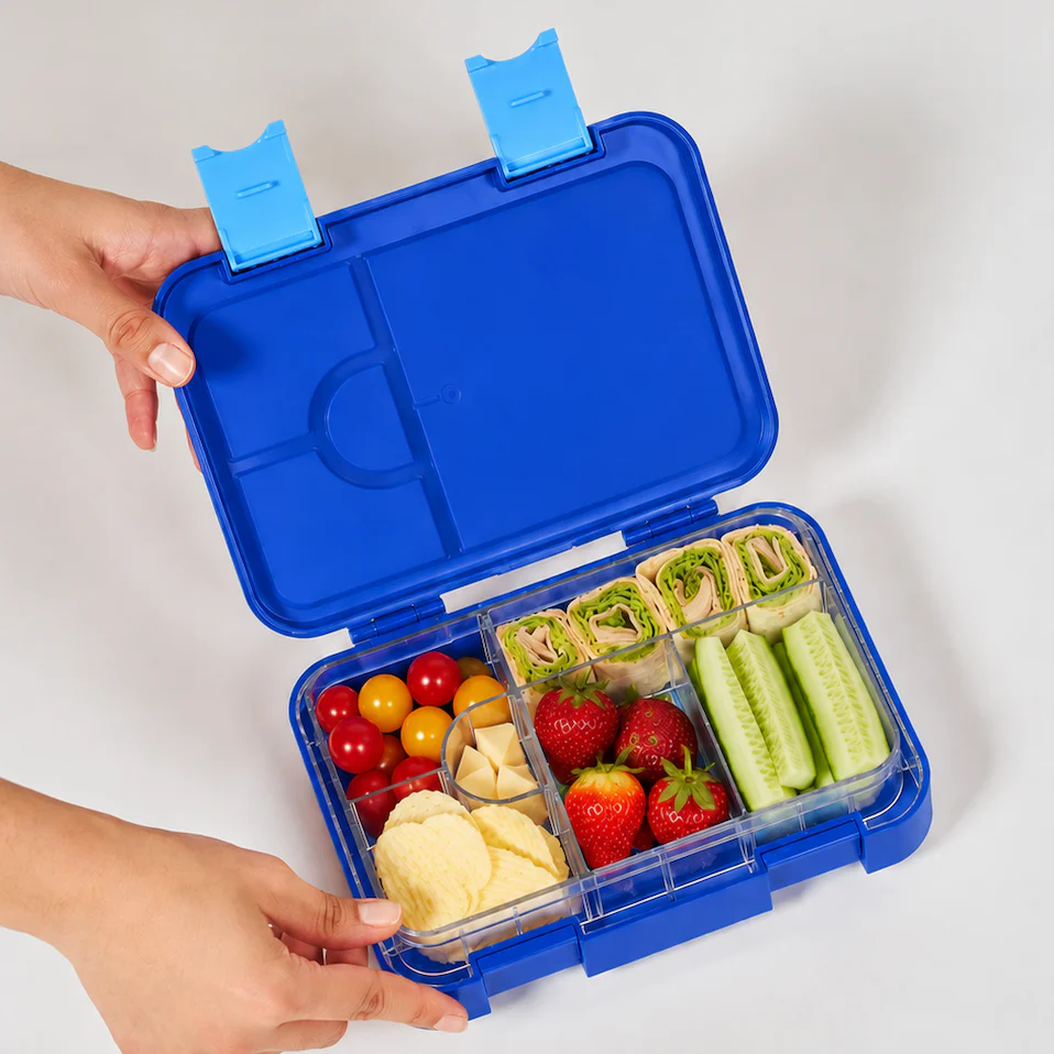 Bento Box Blueberry - Image 2